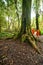 Buddhist monks in misty tropical rain forest. Thailand