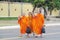 Buddhist monks in orange traditional dress