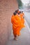 Buddhist Monks walking