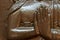 Buddhist Mudras - hand position of a Buddha