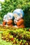 Buddhist novice dolls for Dharma puzzle