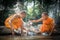 Buddhist novices are cleaning bowls and splashing water in the s