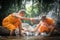 Buddhist novices are cleaning bowls and splashing water in the s