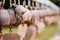 Buddhist old grunge wind bells. depth of field.