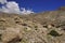 Buddhist Prayer Stones in the High-Altitude Mountain Desert