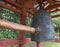 Buddhist Sacred Bell