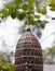 Buddhist shrines on Big Buddha\'s hill