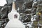 Buddhist stupa against the background of a blurred snow-covered rock