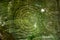 Buddhist symbol overgrown with moss carved in rock in India