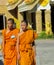 Buddhist young monks walk in the temple yard