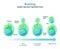 Budding. asexual reproduction of yeast cell