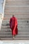 Buddist monk