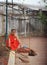 Buddist monk is resting after the street cleaning