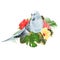 Budgerigar, blue pet parakeet and hibiscus on a tropical background vintage vector illustration editable