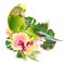 Budgerigar, green pet parakeet  or budgie or shell parakeet home pet with tropical flowers yellow orchid Phalaenopsis and