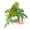 Budgerigar green pet parakeet or shell parakeet or budgie home pet and Brugmansia palm,philodendron,watercolor on a white