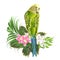 Budgerigar, home pet ,green pet parakeet with tropical flowers floral arrangement, with beautiful pink orchids cymbidium Ficus