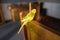 A budgerigar parakeet sitting on the back of a wooden dining room chair caught in the window light sunshine