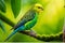 Budgerigar Perched: Intricate Feather Textures Amid Vibrant Green and Yellow Plumage, Blurred Harmony