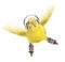 Budgerigar roller skater in headphones