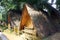 Budget bamboo chalets or hut available for tourist visiting the Tadom Resort Hill