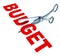 Budget cuts