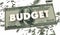 Budget Financial Money Spending Accounting