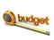 Budget metrics