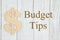 Budget Tips message with a wood dollar sign