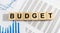 Budget the word on wooden cubes, cubes on digit tables, diagrams, charts. Business and finance concept