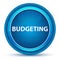 Budgeting Eyeball Blue Round Button