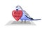 Budgie bird holds heart which says Be my Valentine