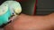 Budgie. male budgie parrot biting my hand firmly. close up Australian parrot. closeup lovebird, Colorful parrot. love bird, birds,