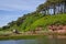 Budleigh Salterton beautiful natural background, river,pine trees. UK