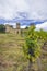 Budos castle (Chateau de Budos) in Sauternes wine region, Gironde departement, Aquitaine, France