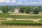 Budos castle (Chateau de Budos) in Sauternes wine region, Gironde departement, Aquitaine, France