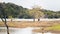 Buduruwagala Reservoir in dry season, hot and harsh conditions, beautiful scenic landscape view with dead tree trunks in water and