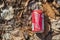 Budweiser beer metal can polluting the forest