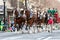 Budweiser Clydesdales Strut In Parade