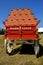 Budweiser wagon and truck for hauling the Clysdales and supplies