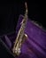 Buescher Alto Sax, Gold Lacquered in Deep Purple Velvet-Lined Hard Case back 2