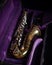 Buescher Alto Sax, Gold Lacquered in Deep Purple Velvet-Lined Hard Case in case