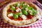 Bufala Mozzarella Pizza. Neapolitan pizza made with tomato sauce, mozzarella cheese and some vegetables. Italian recipe.