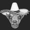 Buffalo, bison, bull head. Sombrero is traditional mexican hat. Mexico. Portait of animal.