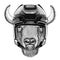 Buffalo, bison,ox, bull Hockey image Wild animal wearing hockey helmet Sport animal Winter sport Hockey sport