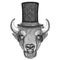 Buffalo, bison,ox, bull wearing cylinder top hat