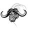 Buffalo bull head vector animal illustration for t-shirt.