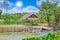 Buffalo cottage with water mud pond asian rural countryside view outdoor