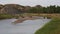 Buffalo crossing Little Missouri River