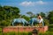 Buffalo fights Statue at Rang ghar sibsagar assam, is a two-storeyed building which once served as the royal sports-pavilion